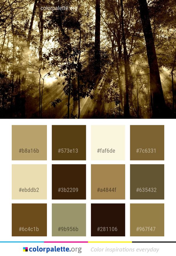 Nature Forest Woodland Color Palette