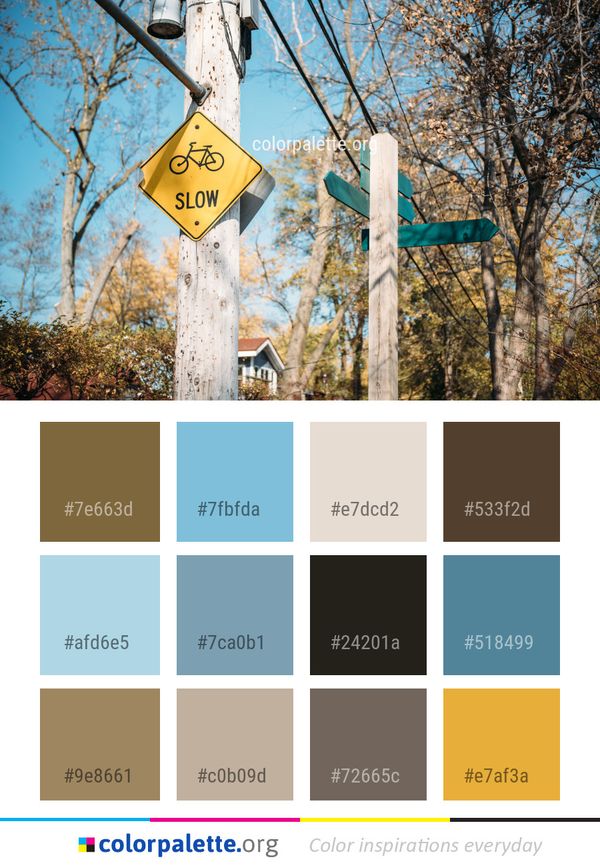 Nature Tree Woody Plant Color Palette
