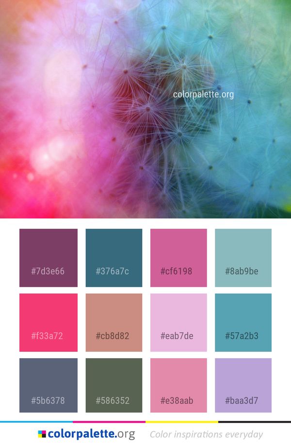 Pink Flower Close Up Color Palette