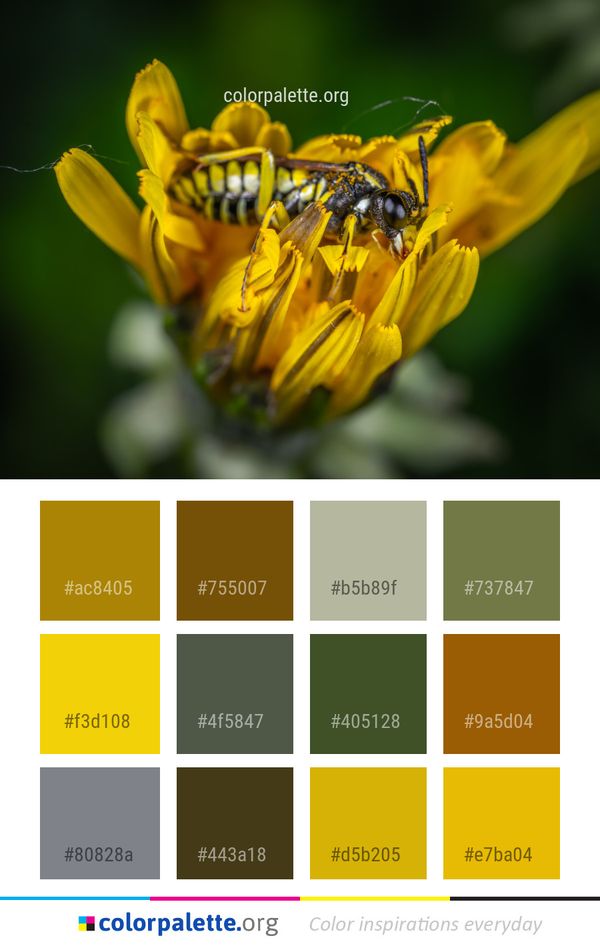 Yellow Insect Honey Bee Color Palette