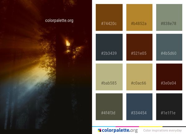 Atmosphere Darkness Light Color Palette