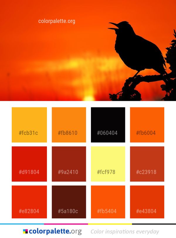 Bird Sky Beak Color Palette