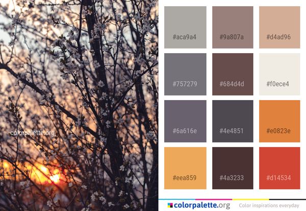 Branch Tree Sky Color Palette