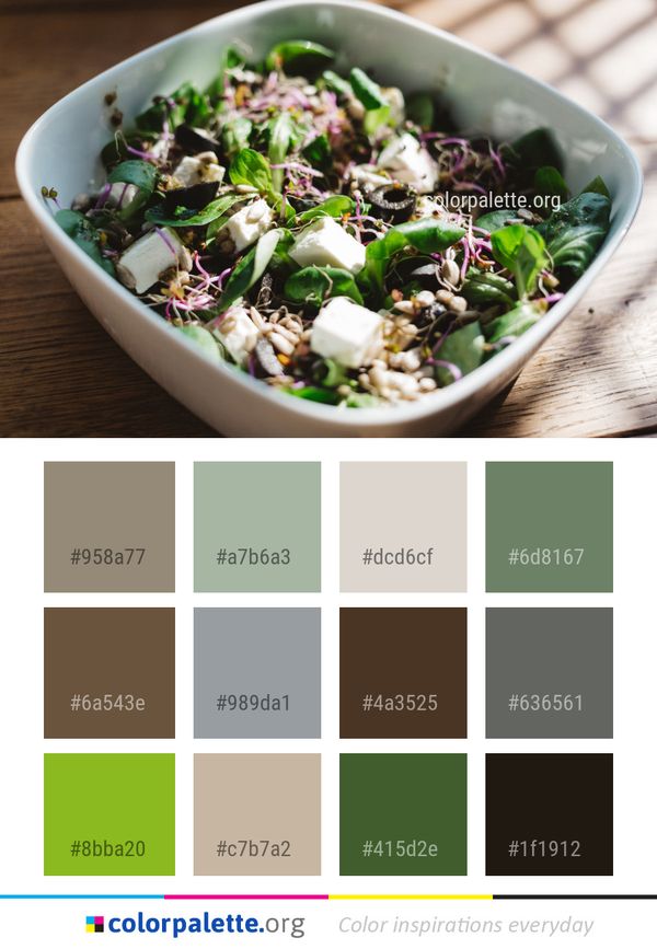 Dish Food Salad Color Palette
