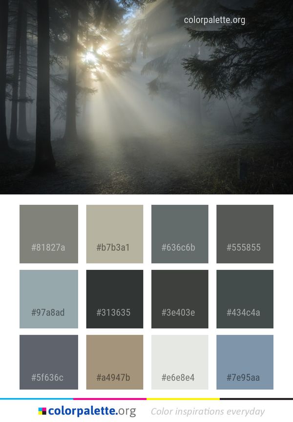 Fog Mist Atmosphere Color Palette