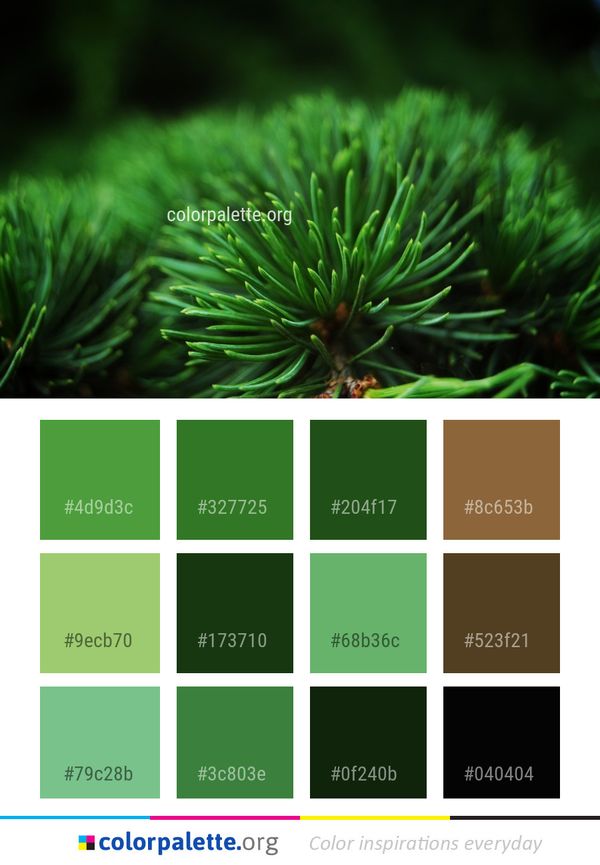 Green Vegetation Close Up Color Palette