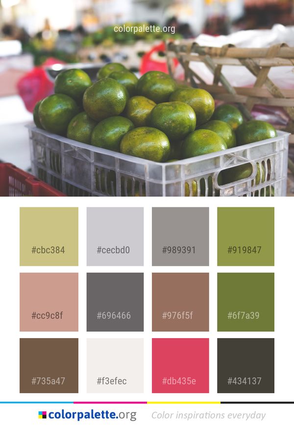 Natural Foods Produce Local Food Color Palette