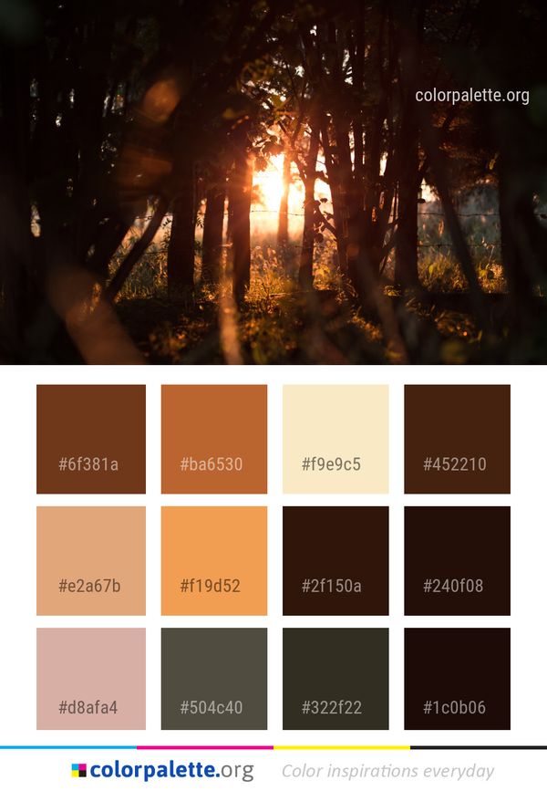 Nature Darkness Forest Color Palette
