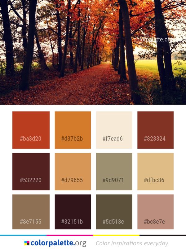 Nature Woodland Autumn Color Palette