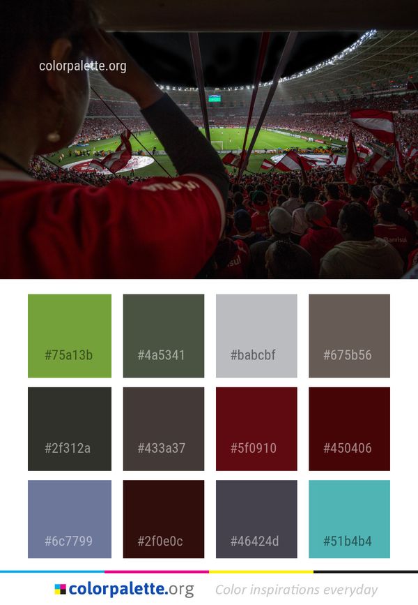 Red Crowd Structure Color Palette