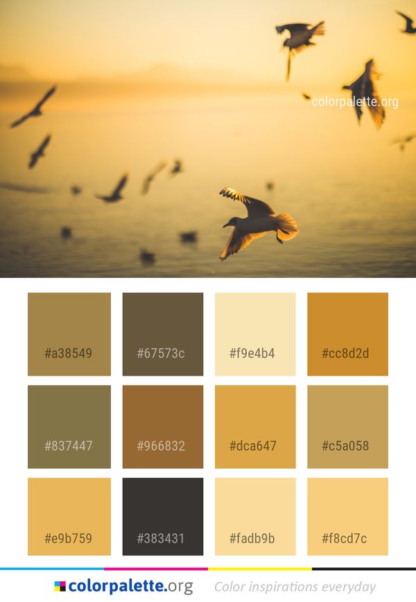 Sky Yellow Sunrise Color Palette