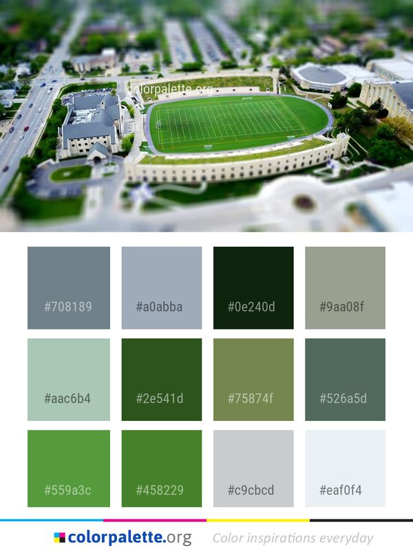 Sport Venue Structure Grass Color Palette
