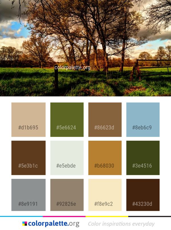 Tree Sky Nature Color Palette