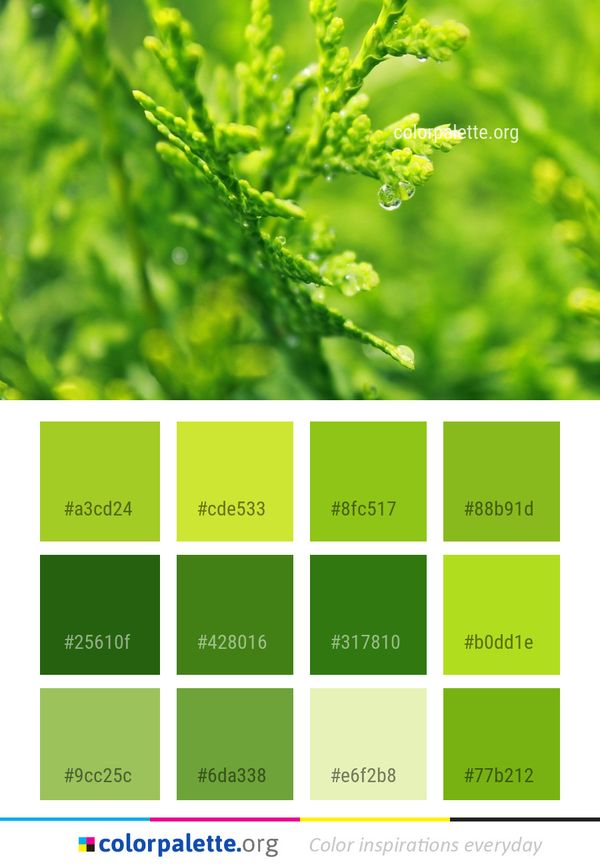 Vegetation Close Up Grass Color Palette
