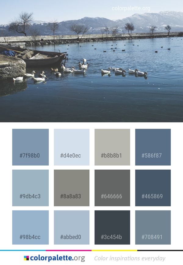Water Body Of Reflection Color Palette