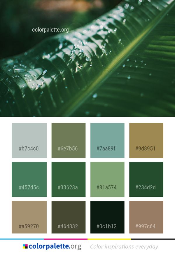 Water Green Dew Color Palette