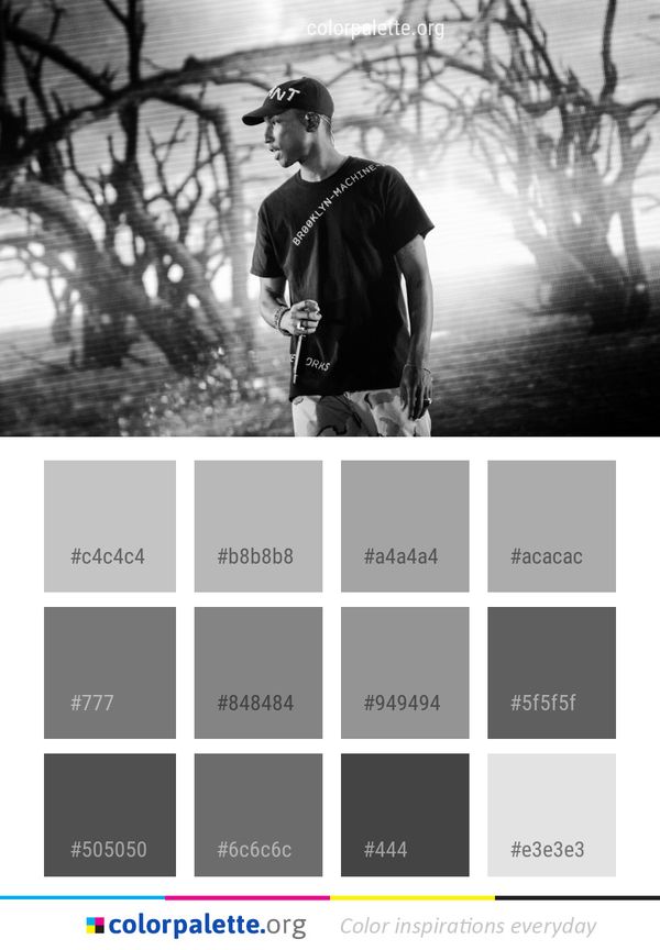 White Black Photograph Color Palette