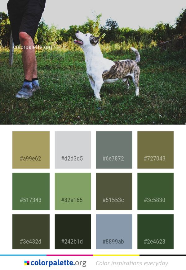 Dog Breed Like Mammal Color Palette