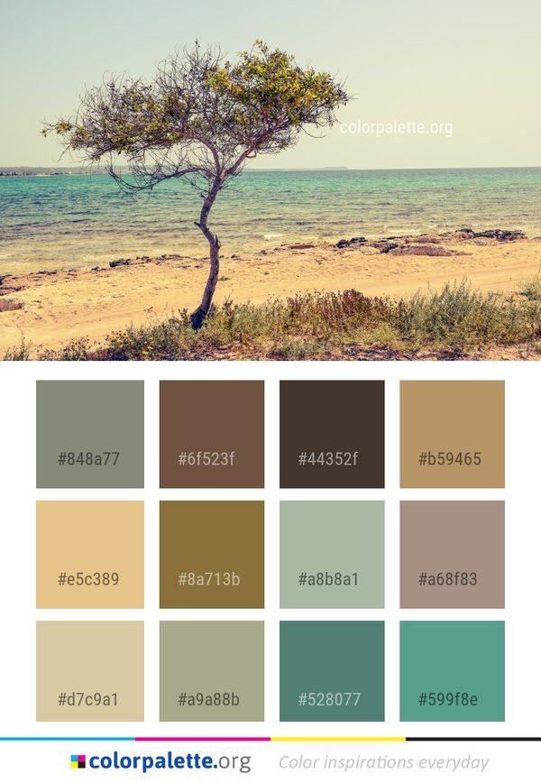Ecosystem Sky Tree Color Palette