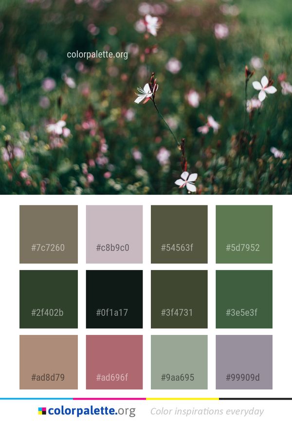 Flower Flora Green Color Palette