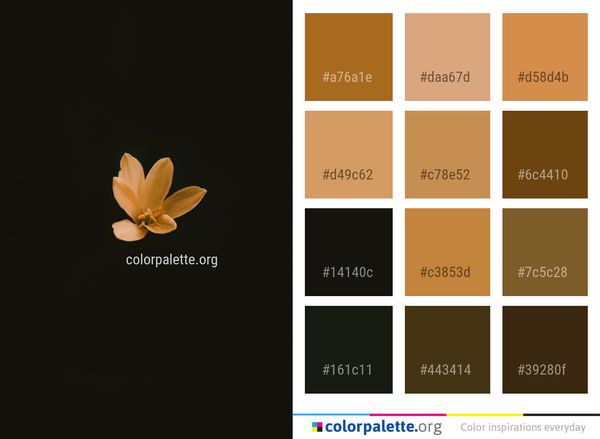 Flower Flora Petal Color Palette