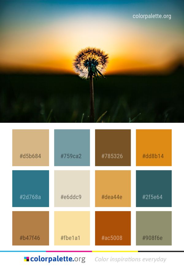 Flower Nature Sky Color Palette