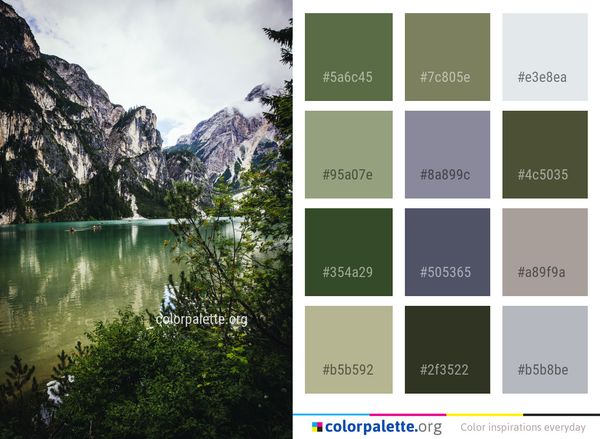 Nature Reflection Wilderness Color Palette