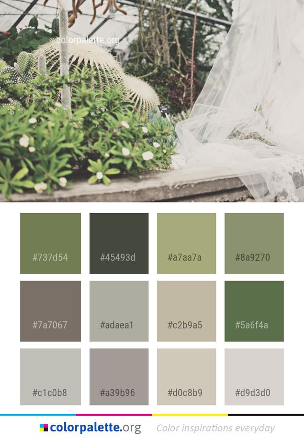 Plant Flora Tree Color Palette