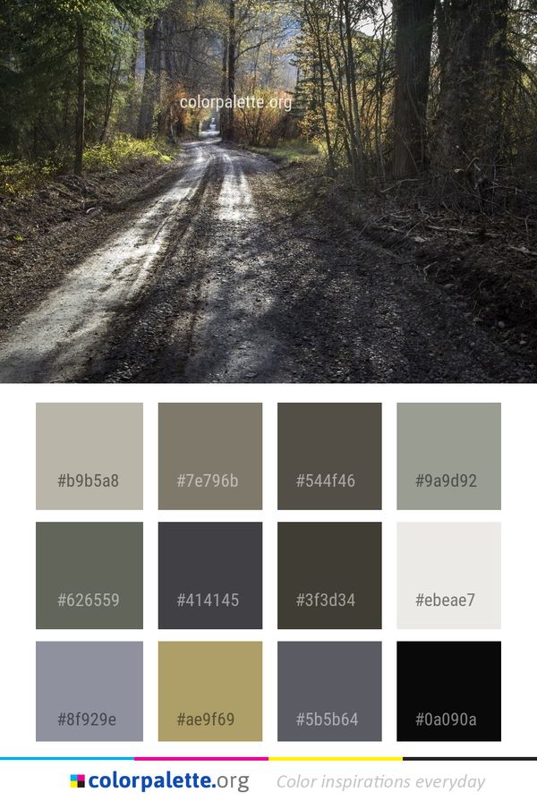 Road Path Woodland Color Palette