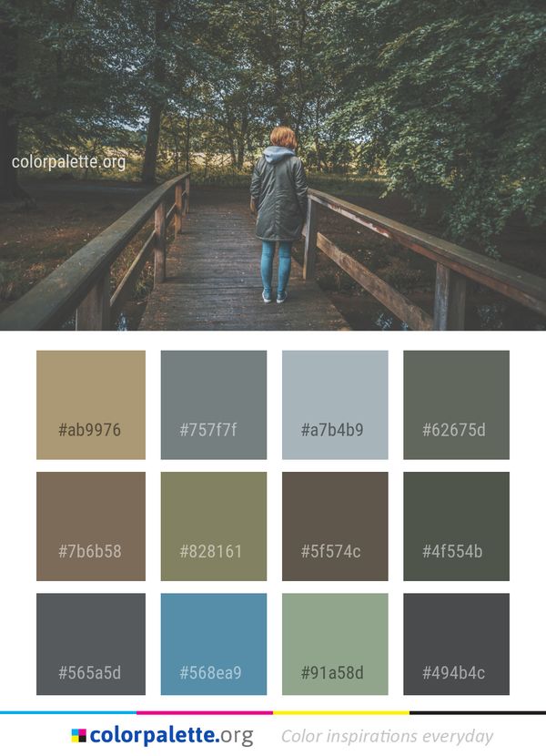 Tree Plant Nature Color Palette