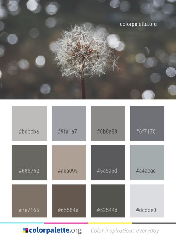 Dandelion Flower Close Up Color Palette