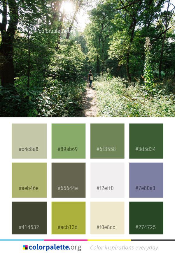 Ecosystem Woodland Path Color Palette