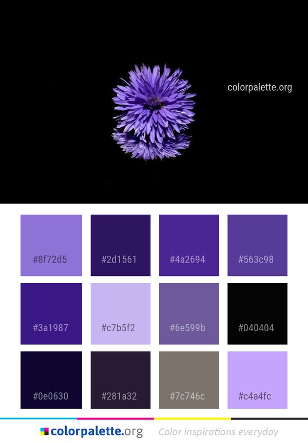 Flower Blue Violet Color Palette