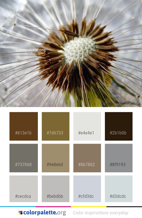 Flower Flora Close Up Color Palette