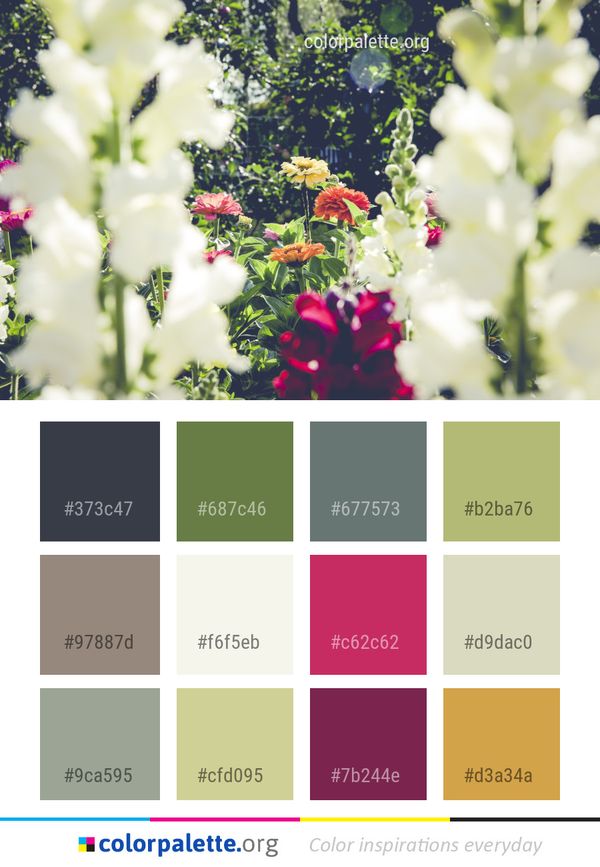 Flower Plant Flora Color Palette