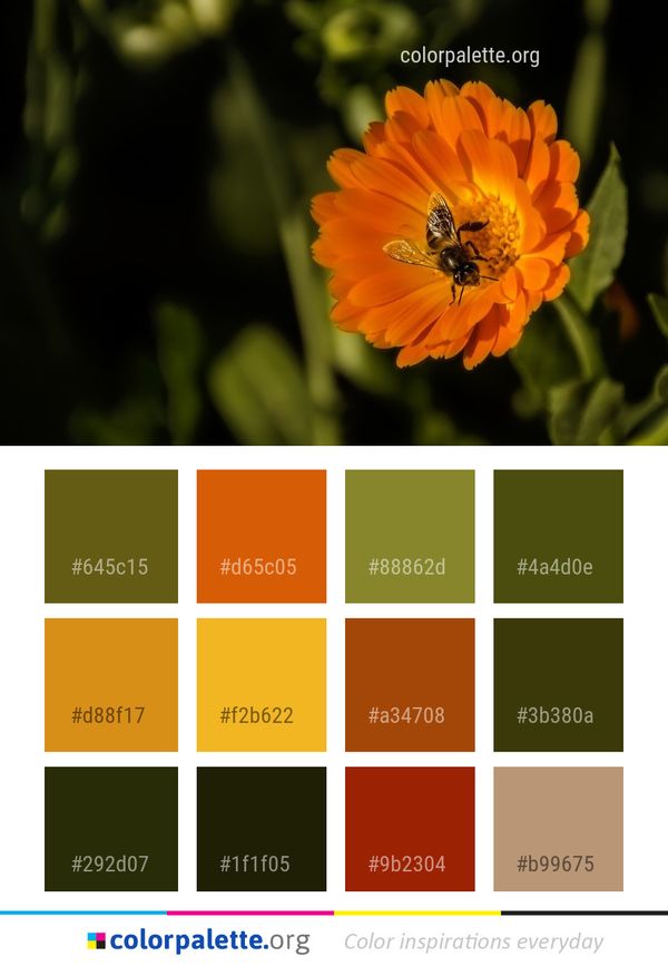 Flower Yellow Nectar Color Palette