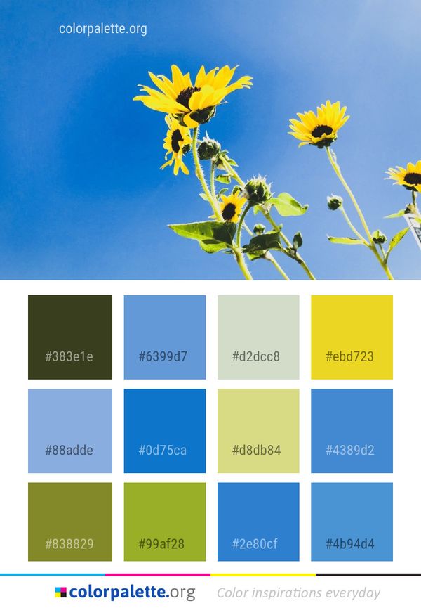 Flower Yellow Sky Color Palette