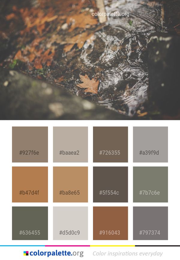 Leaf Water Macro Photography Color Palette