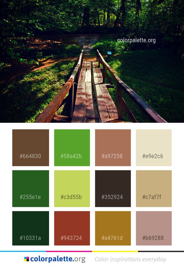 Nature Path Green Color Palette