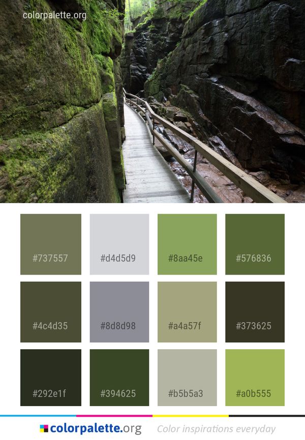 Nature Reserve Ravine Watercourse Color Palette