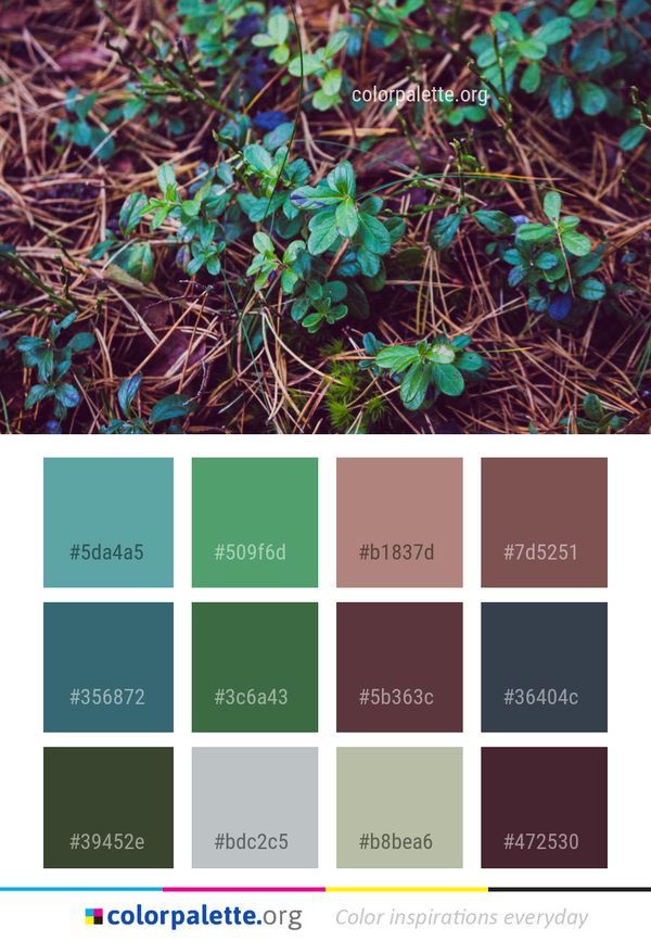 Plant Flora Leaf Color Palette