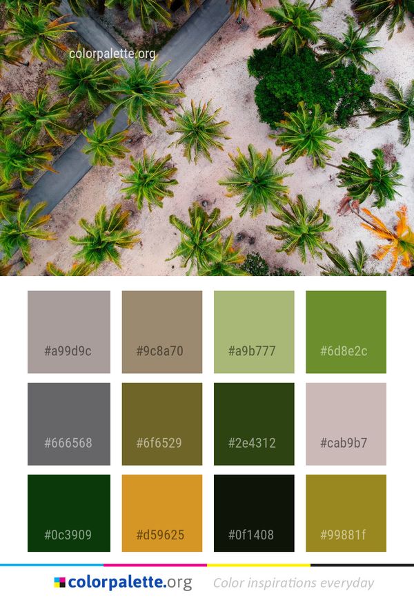 Plant Vegetation Flora Color Palette