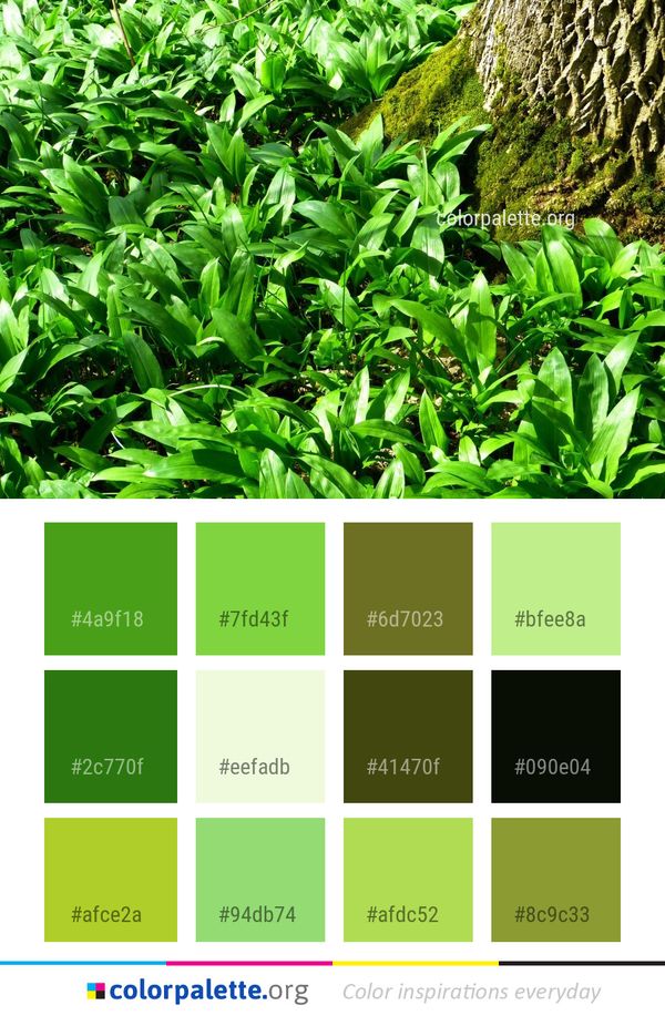 Plant Vegetation Leaf Color Palette
