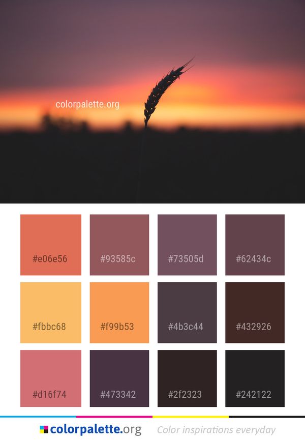 Sky Horizon Sunset Color Palette