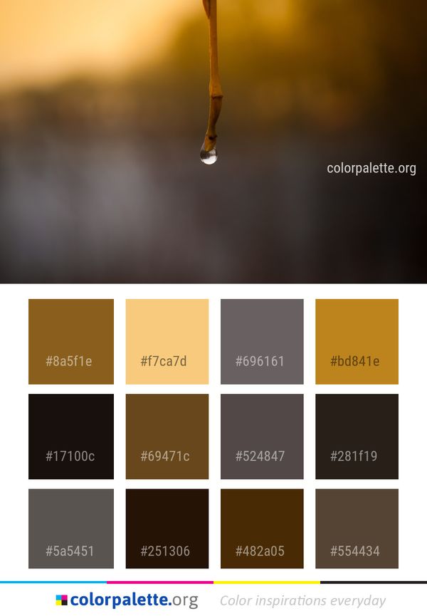 Water Macro Photography Close Up Color Palette