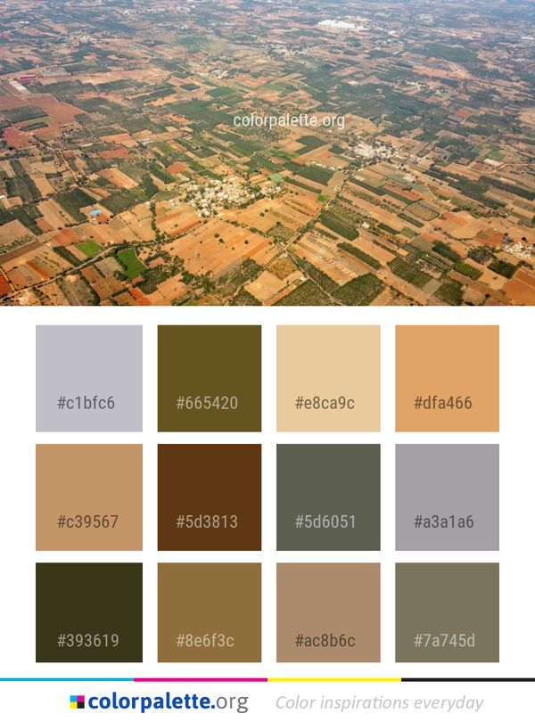 Aerial Photography Bird's Eye View Urban Area Color Palette