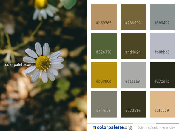 Flower Flora Yellow Color Palette