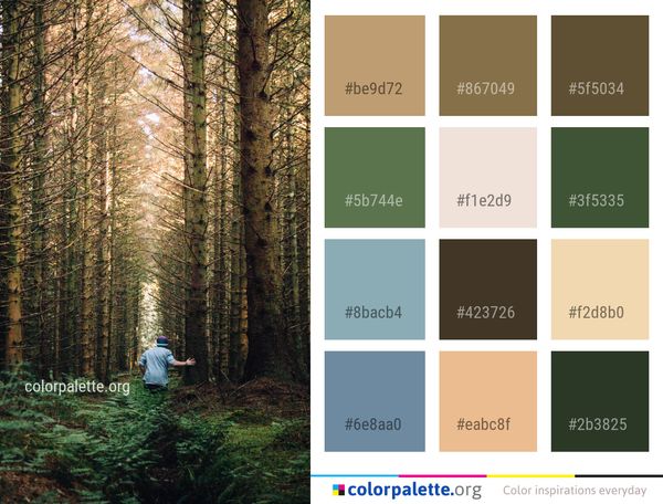 Forest Woodland Ecosystem Color Palette