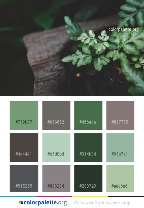 Green Leaf Flora Color Palette