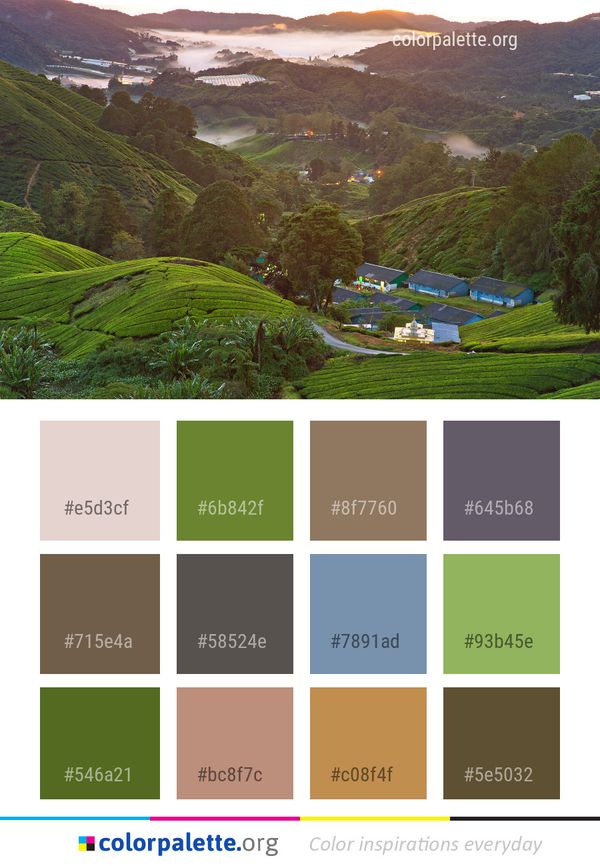 Highland Nature Mountainous Landforms Color Palette